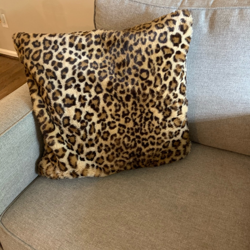 Pottery Barn Leopard Pillow Case